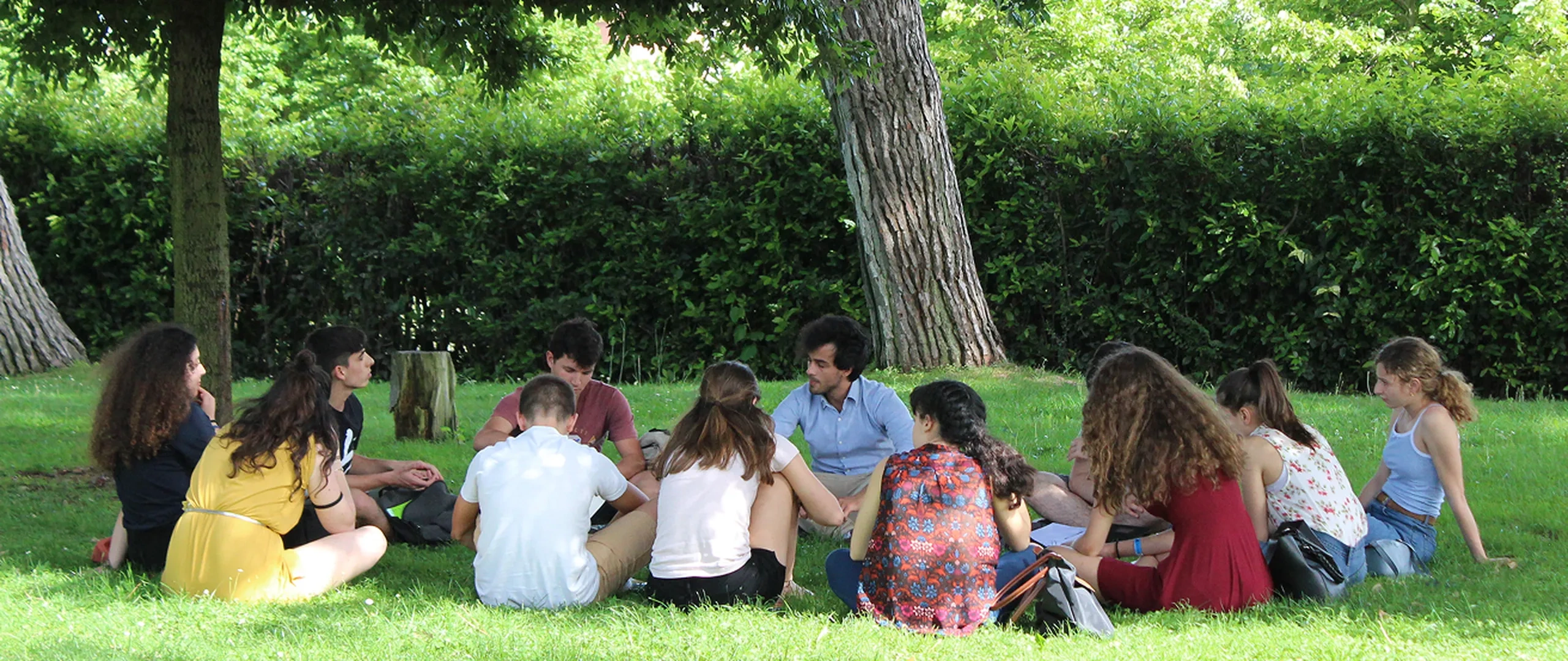 Gruppo di giovani seduti in cerchio sull'erba sotto gli alberi in un parco, che chiacchierano e si rilassano.